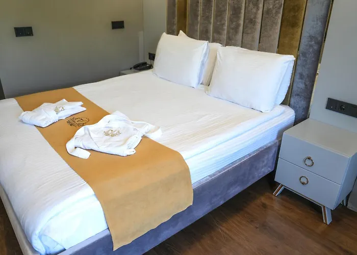 Termal Spa Hotels